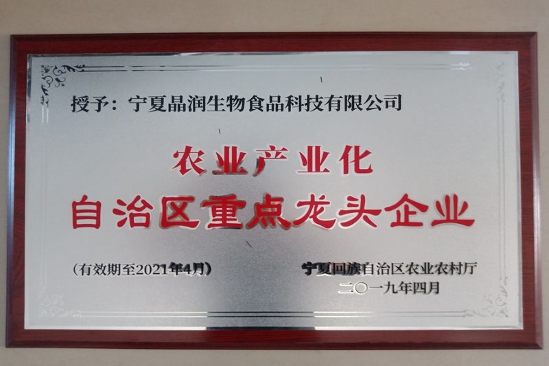 2019年重點(diǎn)龍頭企業(yè)